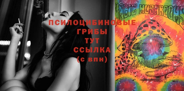 ECSTASY Новодвинск