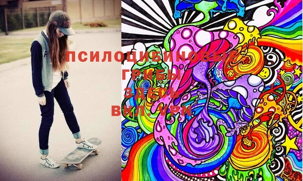 MDMA Новозыбков