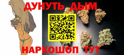 гашик Аргун