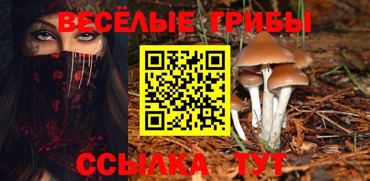 Псилоцибиновые грибы мицелий Белогорск